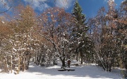 20 Il Crocifisso, giro a destra per la Baita Alpini...